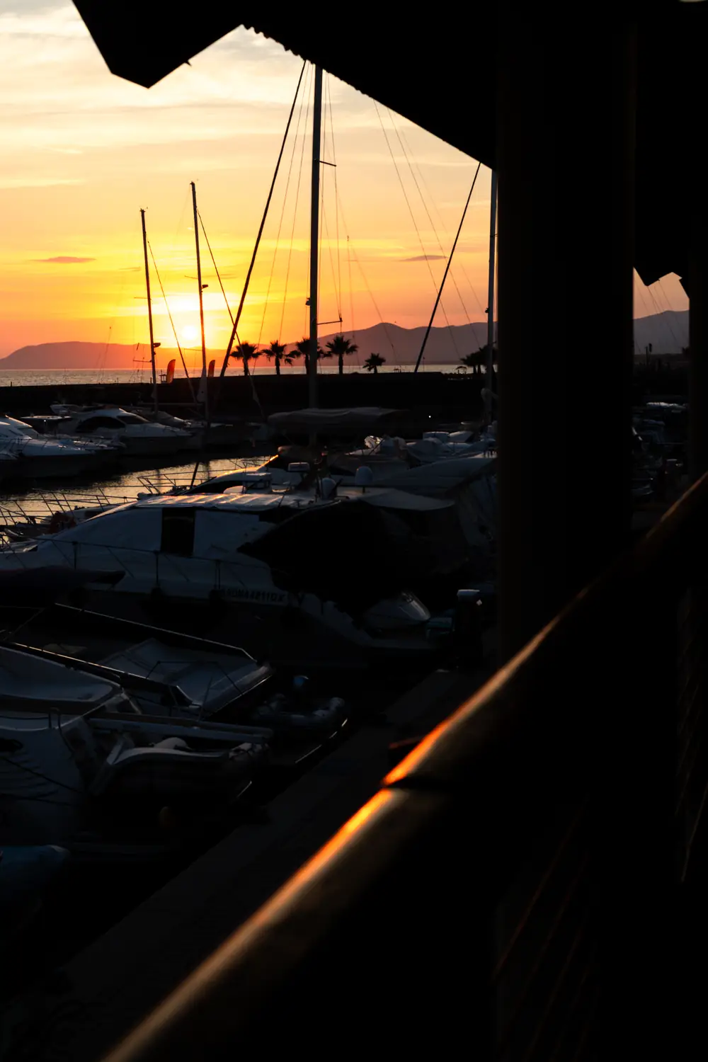 Il tramonto fra gli alberi delle barche